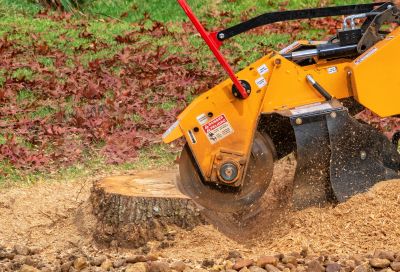 Stump Grinding Machines