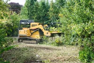 Fall Land Clearing Progress