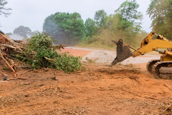 Cost of Forestry Mulching Service in Evergreen