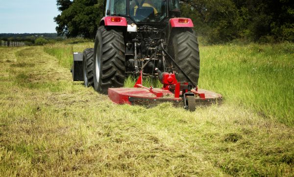Cost of Brush Clearing Service in Evergreen