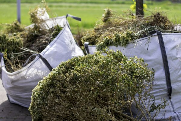Cost of Bushes Clearing in Evergreen